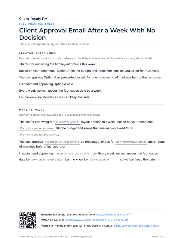 Preview of the practice sheet for Client Approval Email After a Week With No Decision